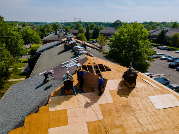 Quick and Trustworthy Emergency Roof Repair Services in Southaven, MS